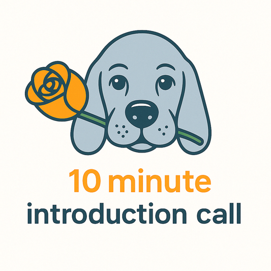 Introduction Call